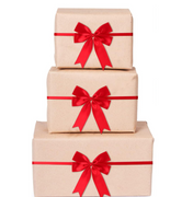 NEW - Professional Holiday Gift Wrapping Service