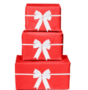 NEW - Professional Holiday Gift Wrapping Service